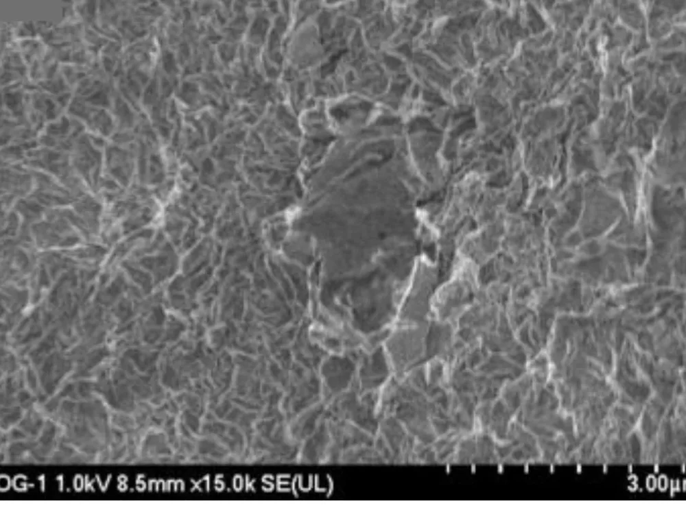氧化石墨烯(GO)SEM 形貌(×5k–×100k)