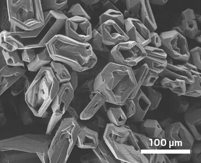 锂枝晶微观晶体形貌(SEM,标尺 100 μm)