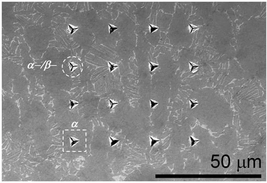Ti-6Al-4V 表面压痕阵列(SEM,标尺 50 μm)