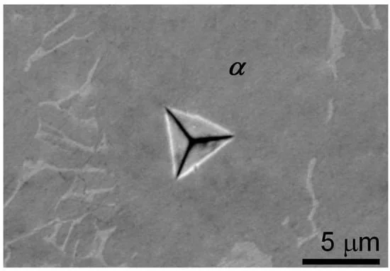 单点纳米压痕细节(SEM,标尺 5 μm)