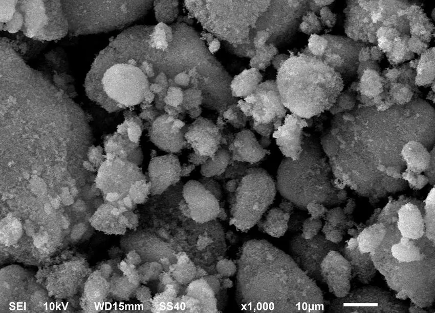 纳米硅颗粒表面形貌(SEM,标尺 10 μm)